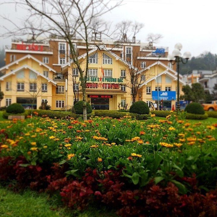 Northstar Hotel Sapa - Sao Hai Yen 2 Sa Pa Eksteriør bilde